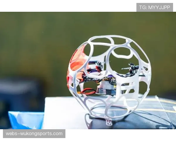 无人机足球世锦赛LOGO融合白玉兰与传统云纹元素